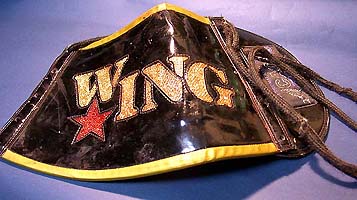 wingrist.jpg
